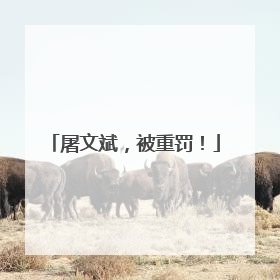 屠文斌，被重罚！