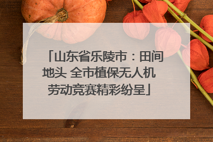 山东省乐陵市：田间地头 全市植保无人机劳动竞赛精彩纷呈