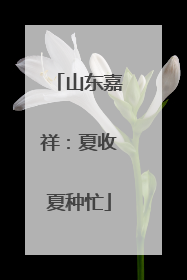 山东嘉祥：夏收夏种忙