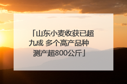 山东小麦收获已超九成 多个高产品种测产超800公斤