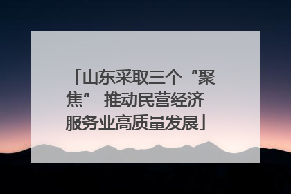 山东采取三个“聚焦” 推动民营经济服务业高质量发展