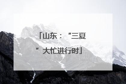 山东：“三夏”大忙进行时