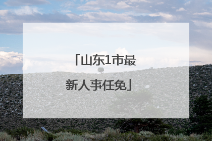 山东1市最新人事任免