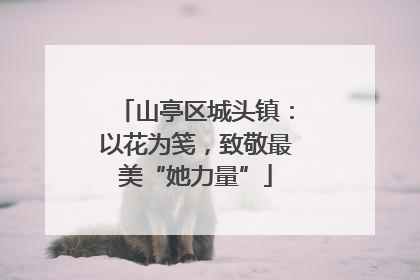 山亭区城头镇：以花为笺，致敬最美“她力量”