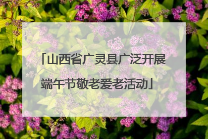 山西省广灵县广泛开展端午节敬老爱老活动