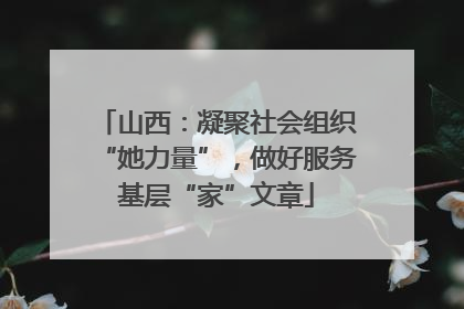 山西：凝聚社会组织“她力量”，做好服务基层“家”文章