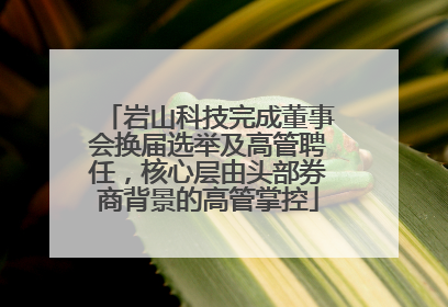 岩山科技完成董事会换届选举及高管聘任，核心层由头部券商背景的高管掌控