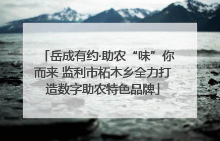 岳成有约·助农“味”你而来 监利市柘木乡全力打造数字助农特色品牌