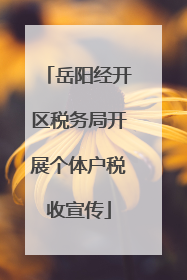 岳阳经开区税务局开展个体户税收宣传