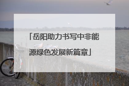 岳阳助力书写中非能源绿色发展新篇章