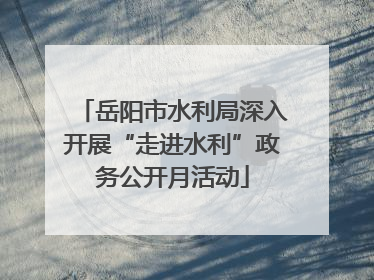 岳阳市水利局深入开展“走进水利”政务公开月活动