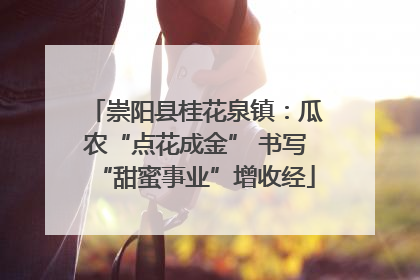 崇阳县桂花泉镇：瓜农“点花成金” 书写“甜蜜事业”增收经