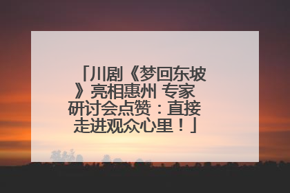 川剧《梦回东坡》亮相惠州 专家研讨会点赞：直接走进观众心里！