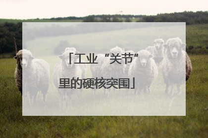 工业“关节”里的硬核突围