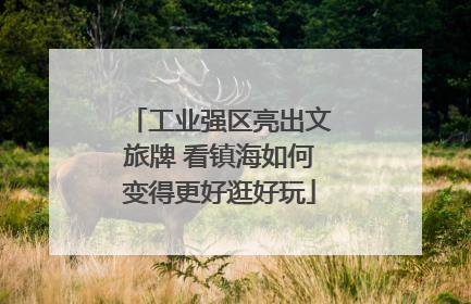 工业强区亮出文旅牌 看镇海如何变得更好逛好玩