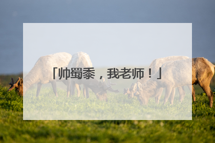 帅蜀黍，我老师！
