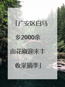广安区白马乡2000余亩花椒迎来丰收采摘季