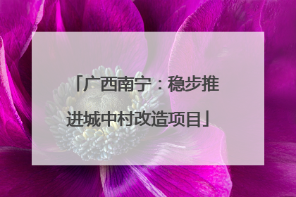 广西南宁：稳步推进城中村改造项目