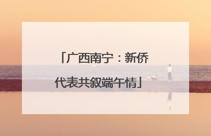 广西南宁：新侨代表共叙端午情