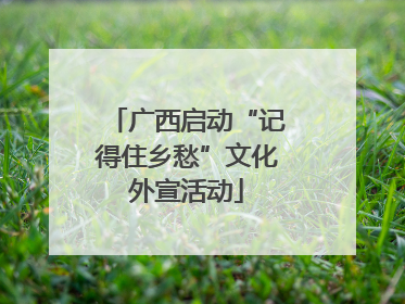 广西启动“记得住乡愁”文化外宣活动