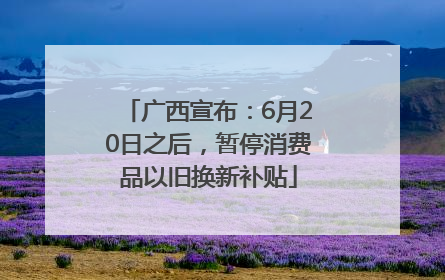 广西宣布：6月20日之后，暂停消费品以旧换新补贴