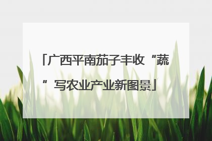 广西平南茄子丰收“蔬”写农业产业新图景