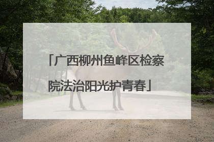 广西柳州鱼峰区检察院法治阳光护青春