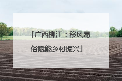 广西柳江：移风易俗赋能乡村振兴