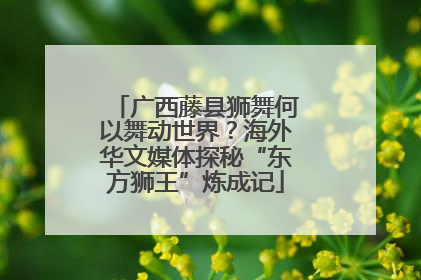 广西藤县狮舞何以舞动世界？海外华文媒体探秘“东方狮王”炼成记