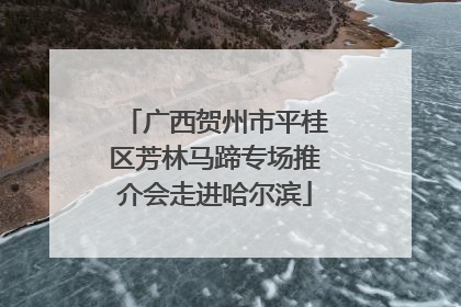 广西贺州市平桂区芳林马蹄专场推介会走进哈尔滨