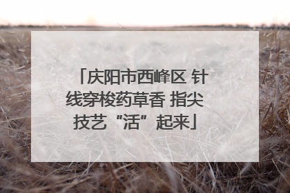 庆阳市西峰区 针线穿梭药草香 指尖技艺“活”起来