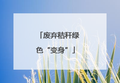 废弃秸秆绿色“变身”