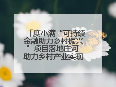 度小满“可持续金融助力乡村振兴”项目落地庄河 助力乡村产业实现绿色转型