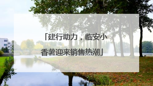 建行助力，临安小香薯迎来销售热潮