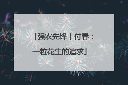 强农先锋丨付春：一粒花生的追求