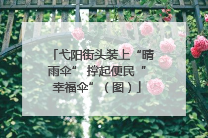 弋阳街头装上“晴雨伞” 撑起便民“幸福伞”（图）