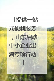 提供一站式便利服务，山东启动中小企业出海专项行动