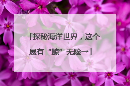 探秘海洋世界，这个展有“鲸”无险→