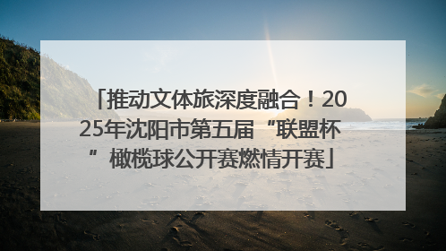 推动文体旅深度融合！2025年沈阳市第五届“联盟杯”橄榄球公开赛燃情开赛