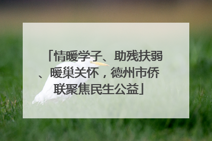 情暖学子、助残扶弱、暖巢关怀，德州市侨联聚焦民生公益