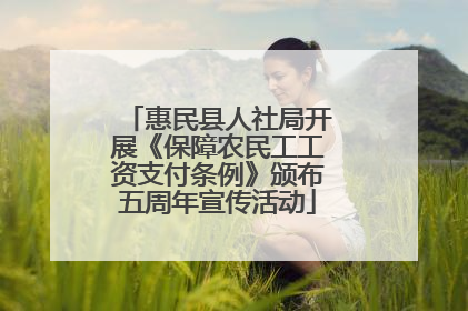 惠民县人社局开展《保障农民工工资支付条例》颁布五周年宣传活动