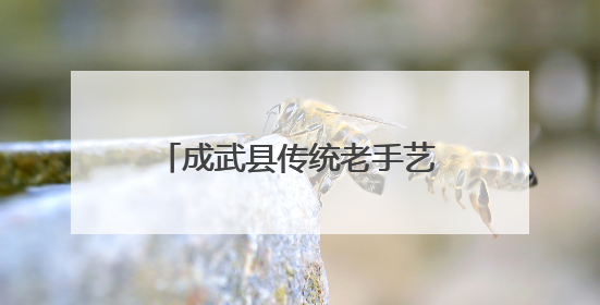 成武县传统老手艺变身新产业 共富工坊助力乡村振兴