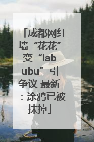 成都网红墙“花花”变“labubu”引争议 最新：涂鸦已被抹掉