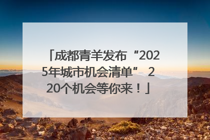 成都青羊发布“2025年城市机会清单” 220个机会等你来！