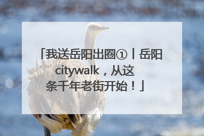 我送岳阳出圈①丨岳阳citywalk，从这条千年老街开始！