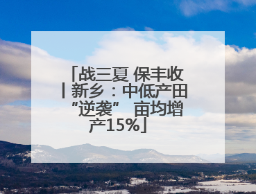 战三夏 保丰收丨新乡：中低产田“逆袭” 亩均增产15%