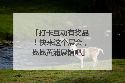 打卡互动有奖品！快来这个展会，找找黄浦展馆吧
