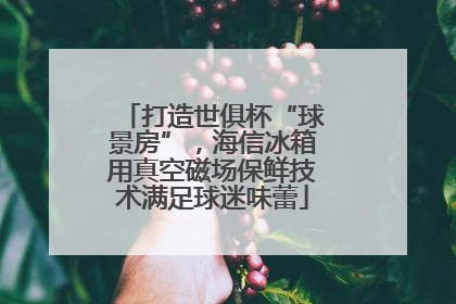 打造世俱杯“球景房”，海信冰箱用真空磁场保鲜技术满足球迷味蕾