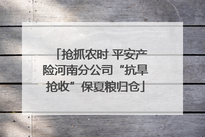 抢抓农时 平安产险河南分公司“抗旱抢收”保夏粮归仓