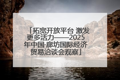 拓宽开放平台 激发更多活力——2025年中国·廊坊国际经济贸易洽谈会观察
